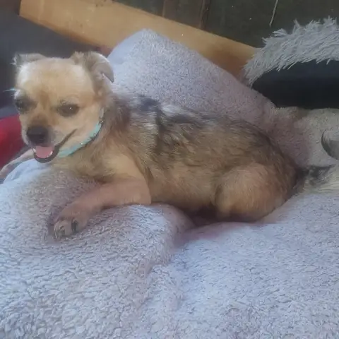Louna photo 2