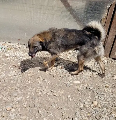 Alma photo 2