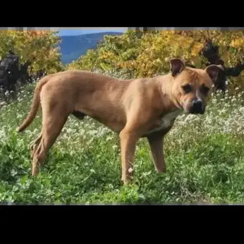 Arlo photo 2