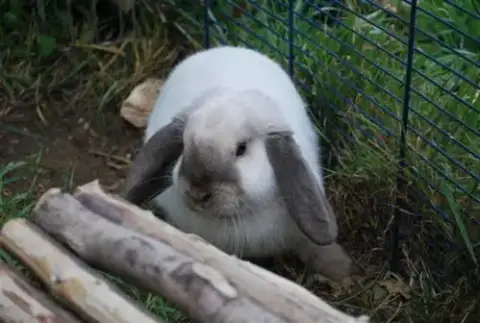 Yuko(Réservé)