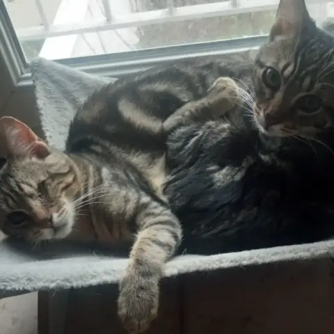 Pirate Et Nelson photo 2