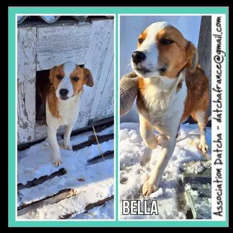 Bella