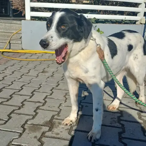 Jacky Urgent Svp!!! photo 3