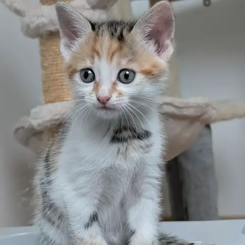 Belle photo 3