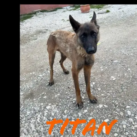 Titan