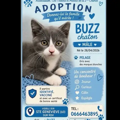 Buzz