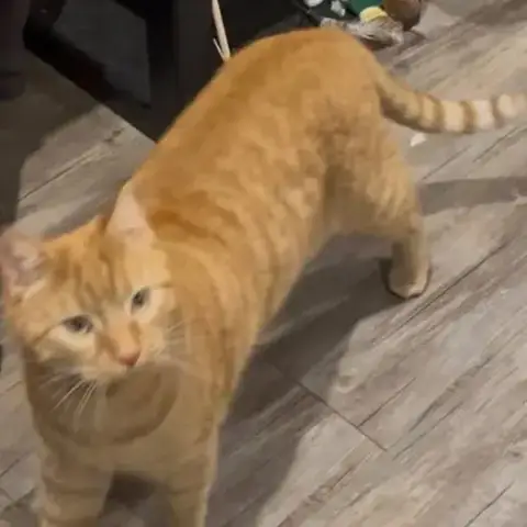 Caramel