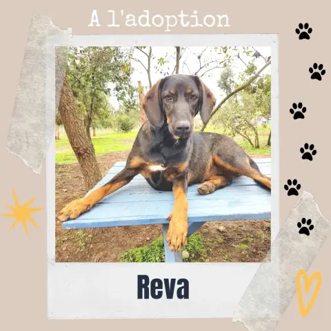 Réva photo 3