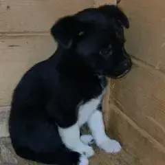 Zouka