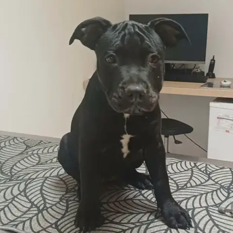 Lucie