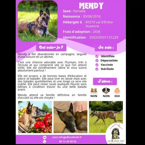 Mendy