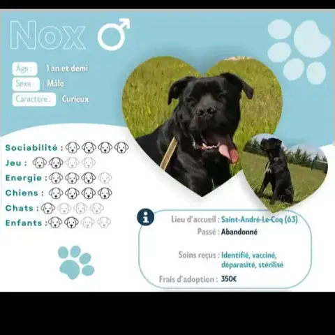 Nox