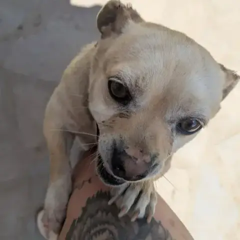 Nyxen photo 3