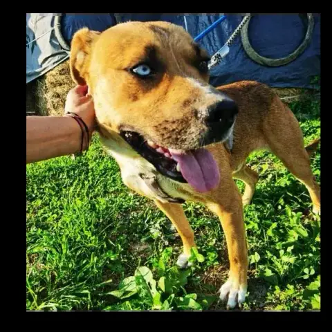 Zeus photo 3