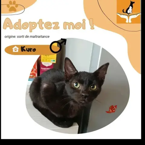 Kuro