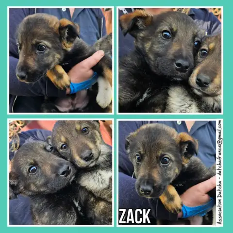 Zack