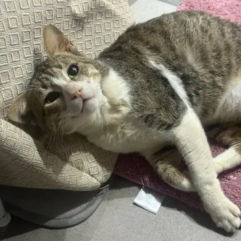 Bobby