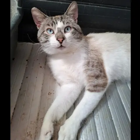 Marley