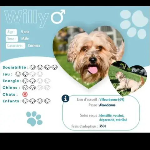 Willy