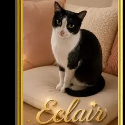 Eclair