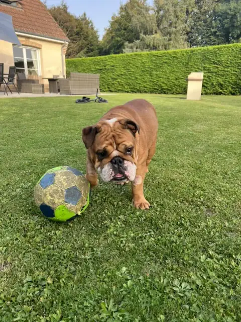 Ruben photo 3