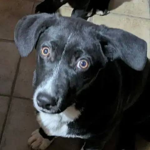 Frodo photo 2