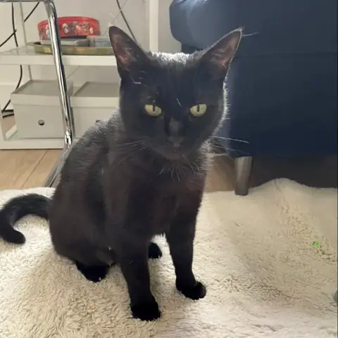Hermione