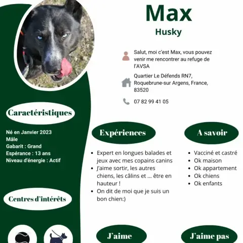 Max photo 2
