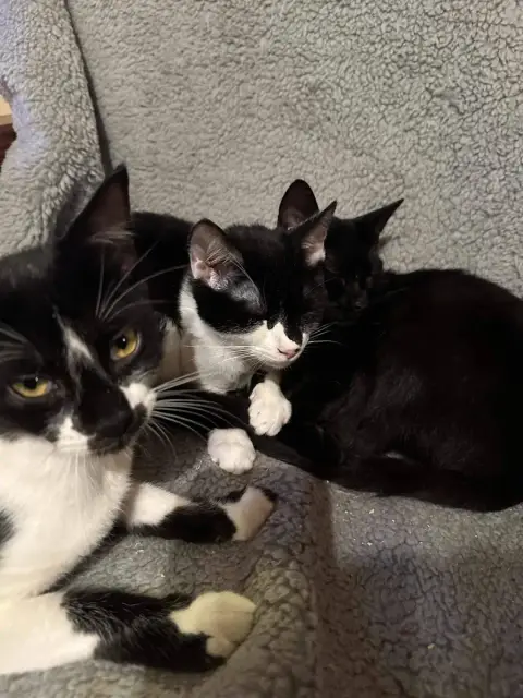 Zina & Zelda