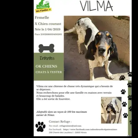 Vilma