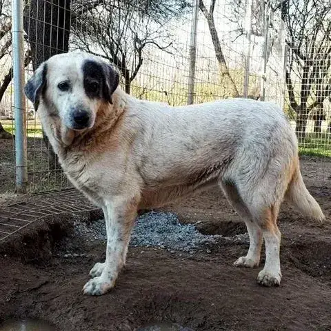 Katia photo 3
