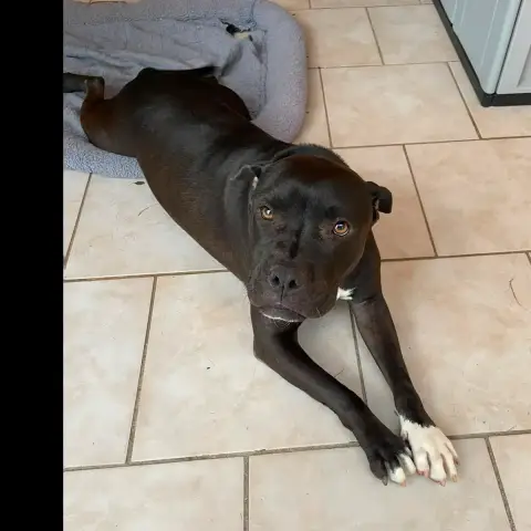 Xena photo 2