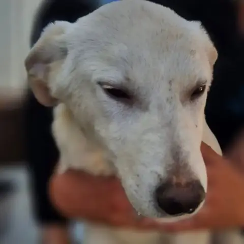 Oscar photo 2