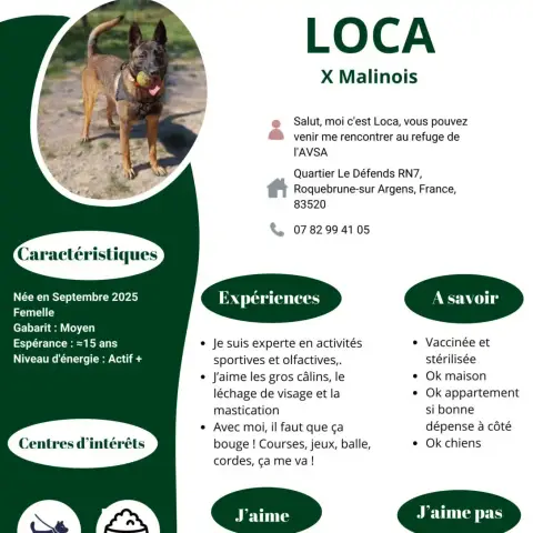 Loca photo 2