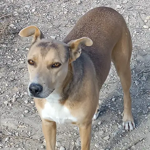Sandra