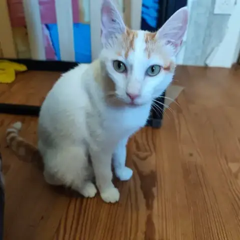Biobie photo 2