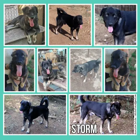 Storm