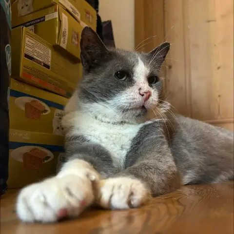 O’Malley photo 2