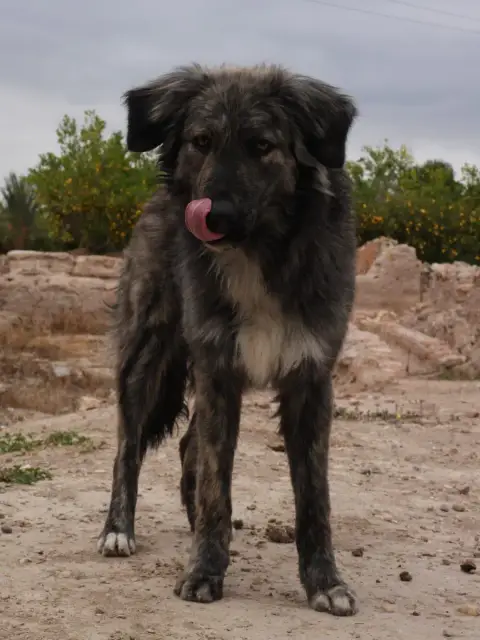 Kilua photo 3