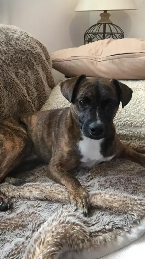 Buster