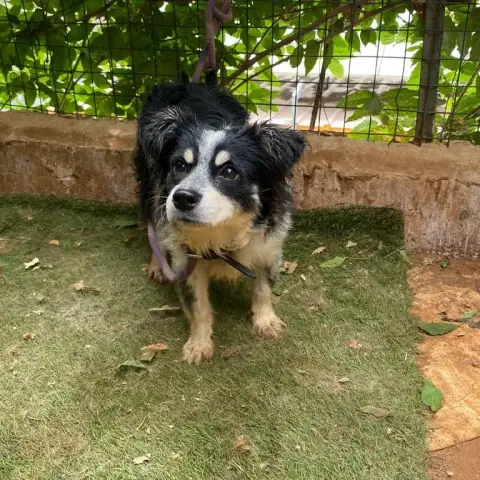 Wiley photo 3