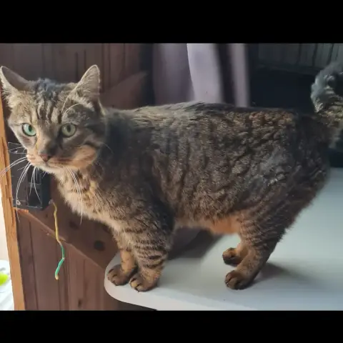 Bibi photo 3