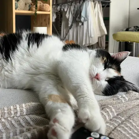Alaska