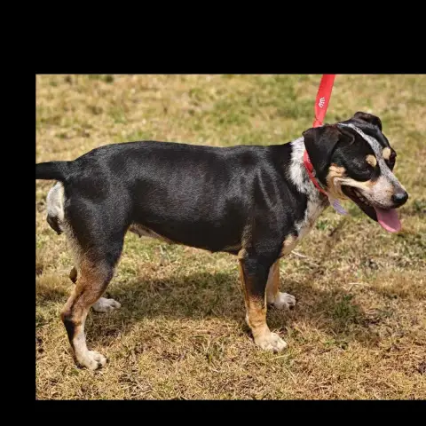 Lexie photo 3
