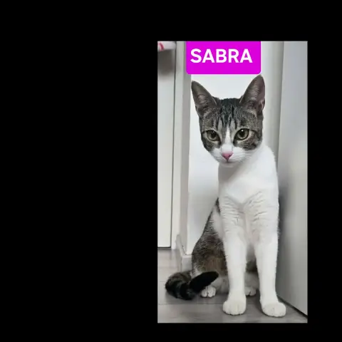 Sabra