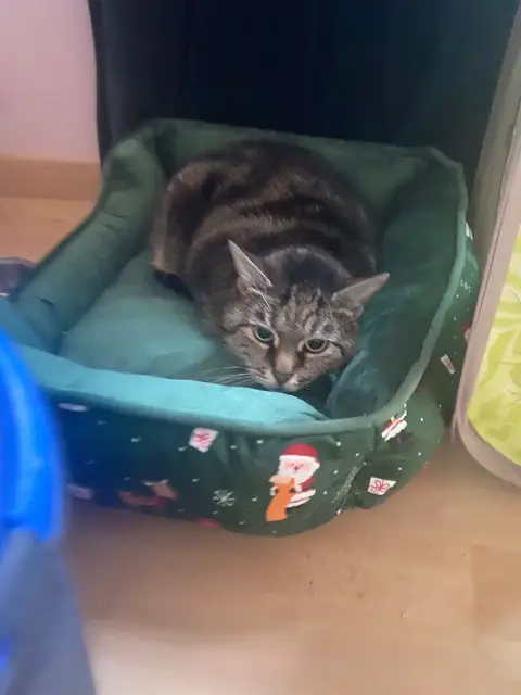 Minette