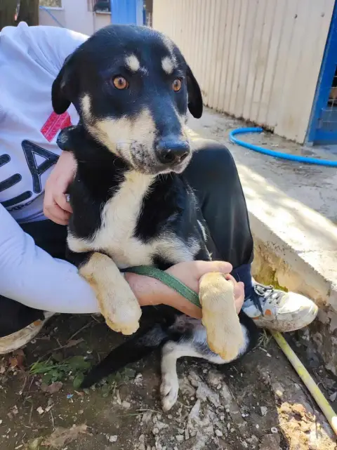 Taiko photo 2