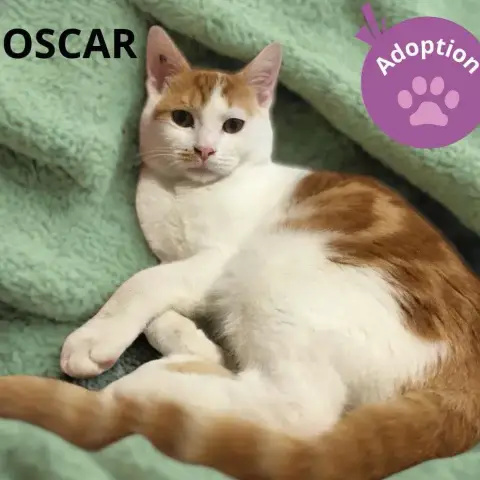 Oscar