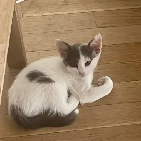 Bella photo 2