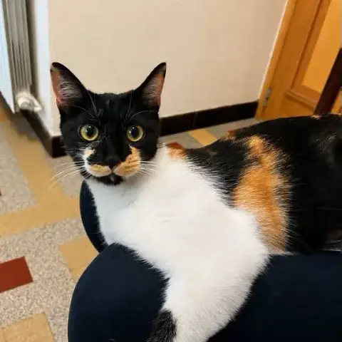 Lucie
